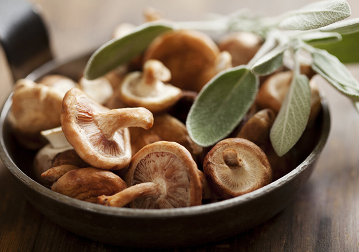 IQF shiitake sopp prosesseringsteknologi